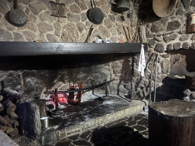 ilaria-bertinelli-ispinigoli