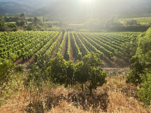 ilaria-bertinelli-valle-di-oddoene