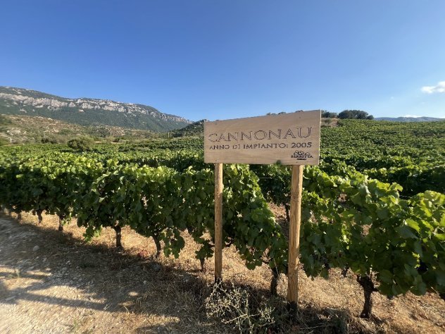 ilaria-bertinelli-cantina-berritta